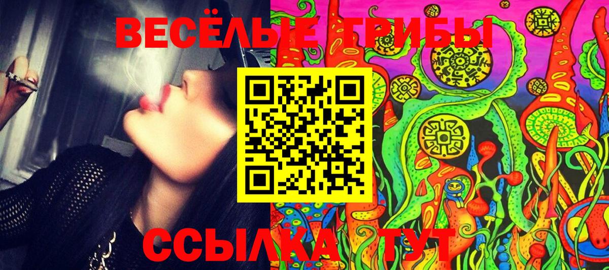Псилоцибиновые грибы Psilocybine cubensis  Вход с VPN  Мценск 